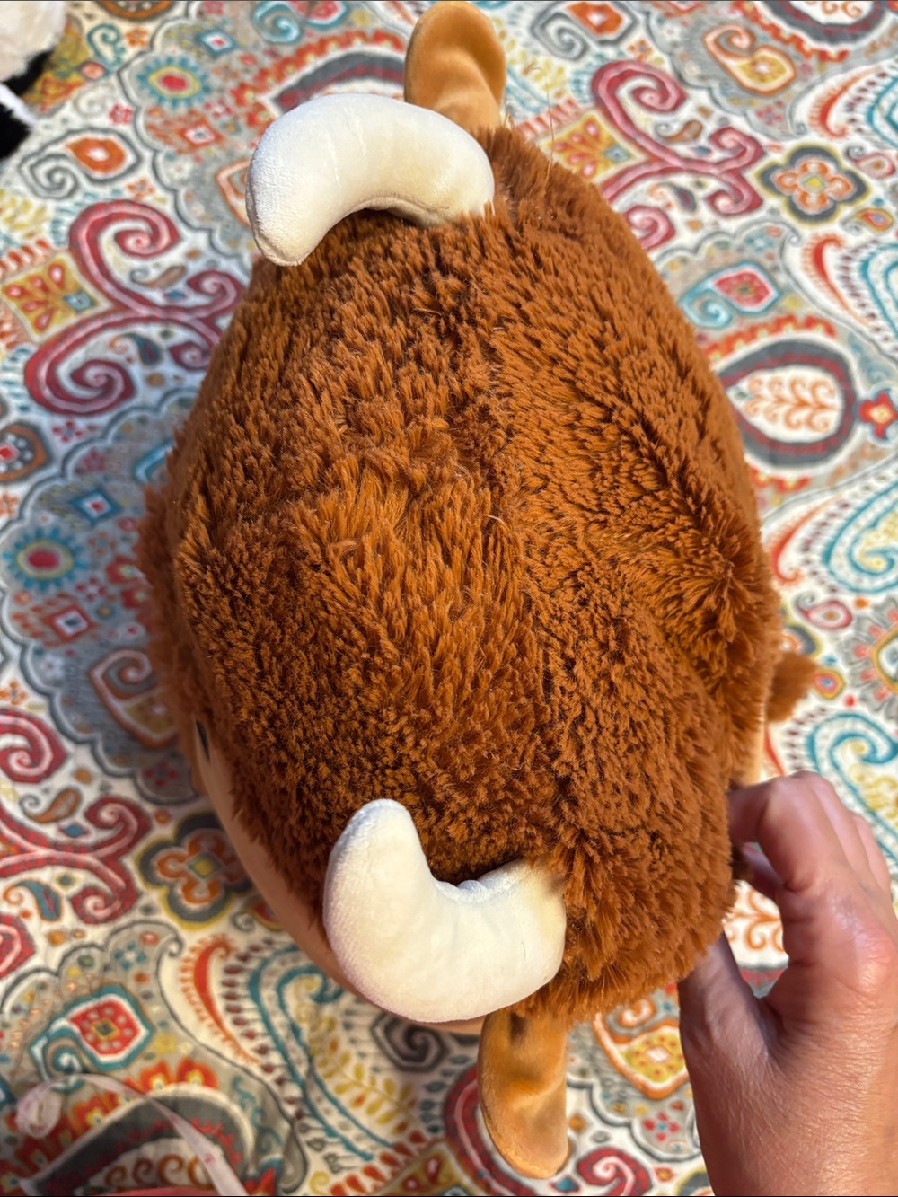 Original Squishmallows Plush - Dunkie the highland cow Brown Squishmallow - Picture 8 of 10